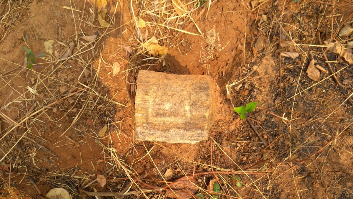 During survey of boundary stones in Odisha-AP revenue border.
#Narayanpatna 
#OldPic