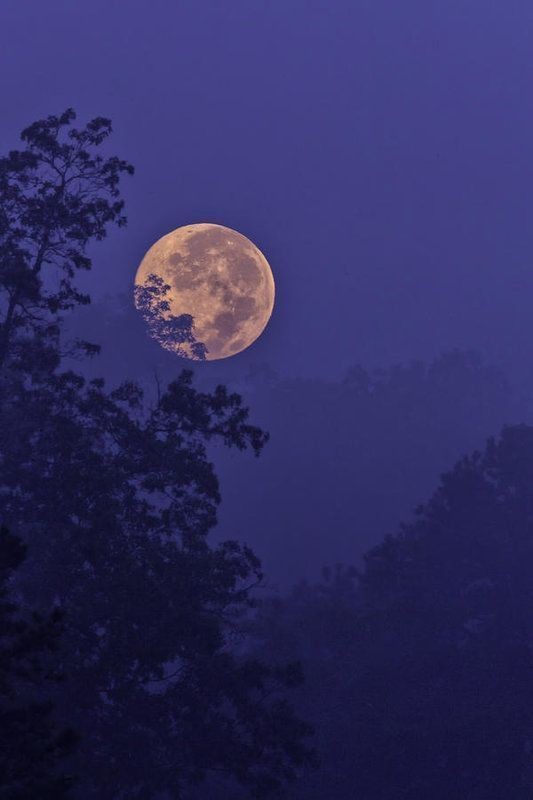 Séléné 🌕 tweet media