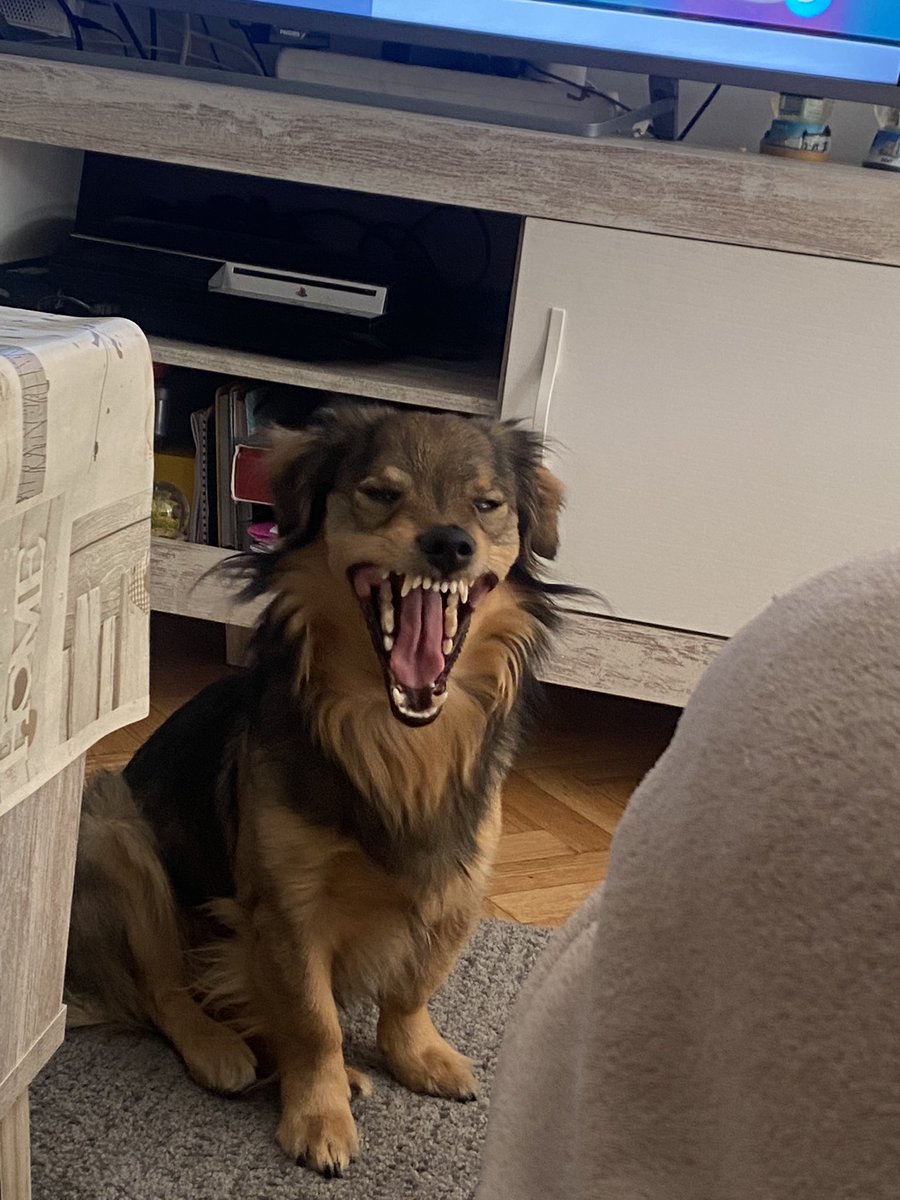 𝓁𝒾𝓈 tweet media