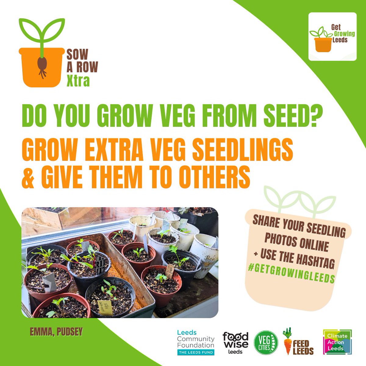 Do you grow veg from seed?
#GetGrowingLeeds #SowARowXtra
Useful Links: linktr.ee/FeedLeeds 
Share your seedling pics!

Or take to a Little Veg Library ( LVL)
There are many across leeds
LVL Map Link -bit.ly/3UktNEN