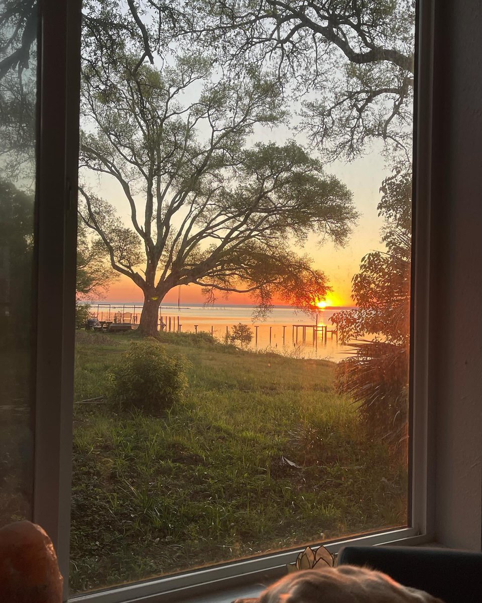 Hope everyone is have a fine Sunday. We’re catching our breath between MHFA classes and thinking about the future. That’s the top of Gumbo’s (yellow lab) head at the bottom of the pic. He likes to watch the sunrise too!