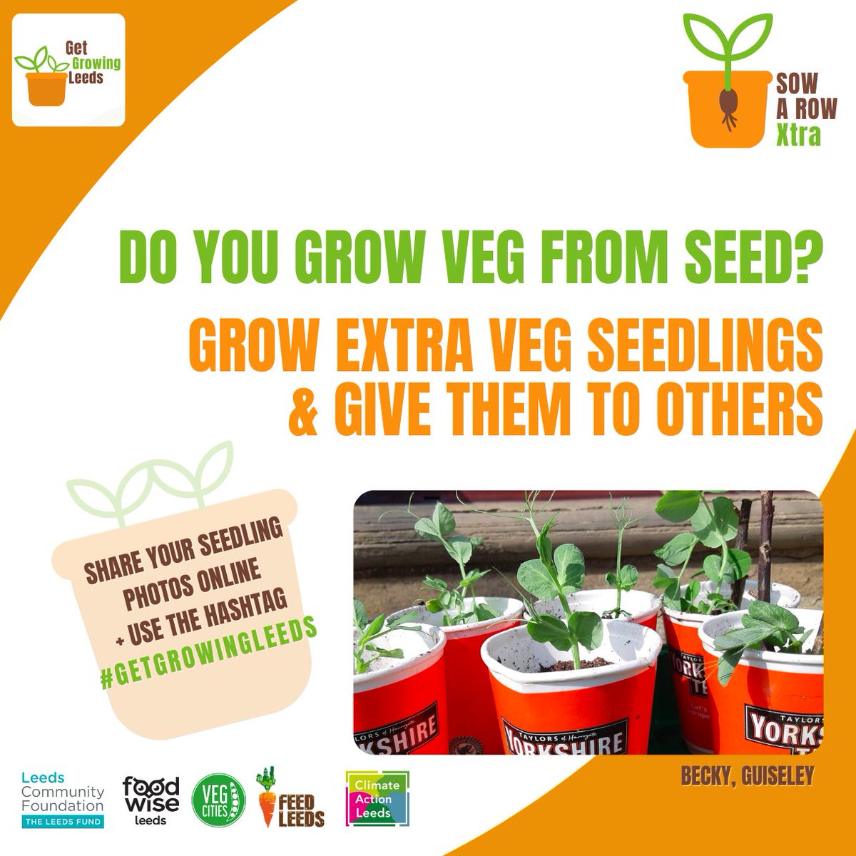 Share your seedling photos with the #hashtag #GetGrowingLeeds Do you grow veg from seed? Useful Links: linktr.ee/FeedLeeds Drop off at @MeanwoodFarm or #OakwoodMarketGarden Or take to a Little Veg Library ( LVL)