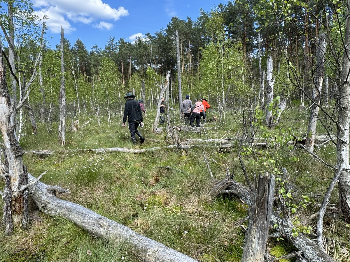 MIRECLIM project tweet media