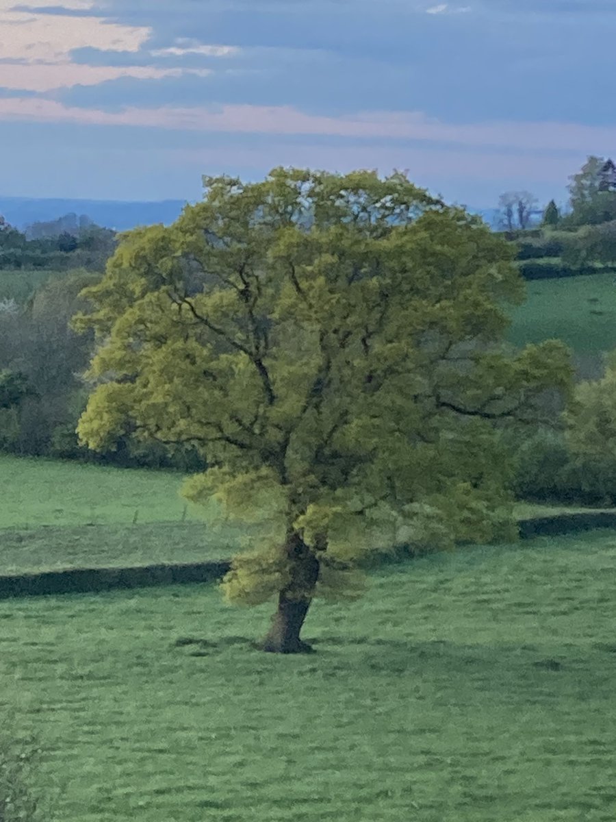 Susan Jones tweet media