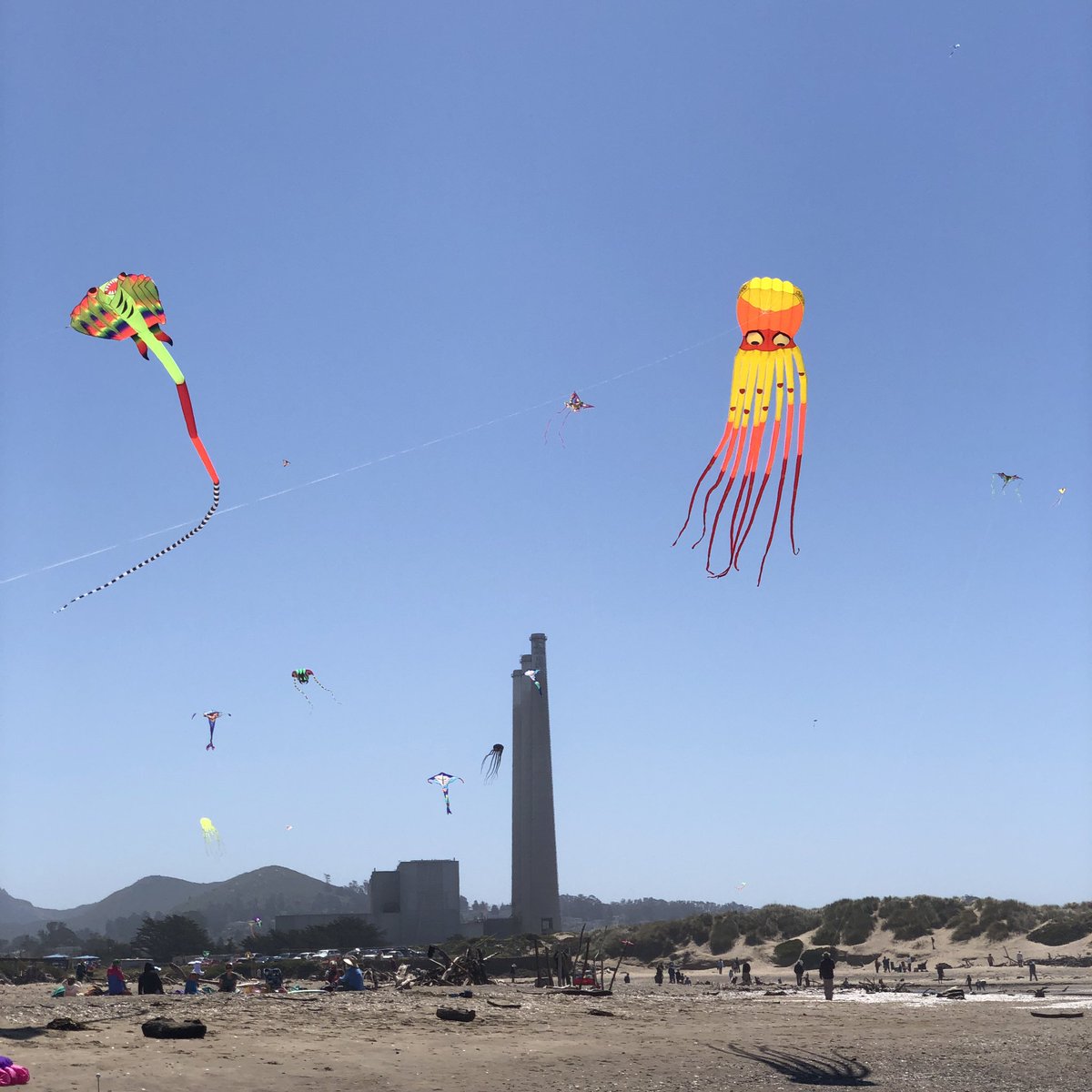 Hey @masseffect and @bioware isn't it time for a Hanar Kite?  #MassEffect #MorroBay #Kite #Festival