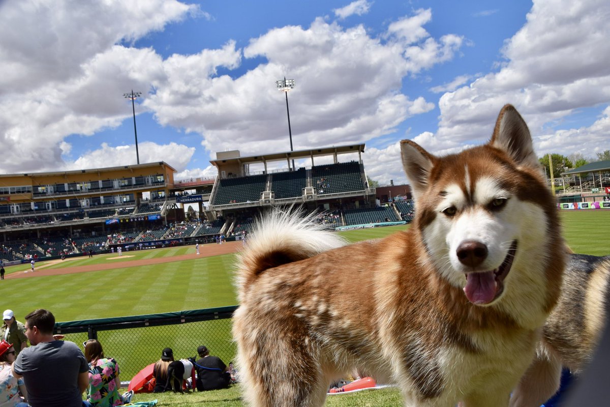 ABQTopes tweet picture