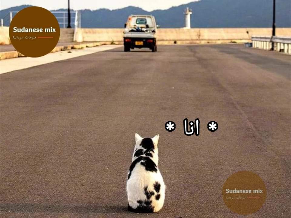 امشي ألبس جزمتك وتعال
=