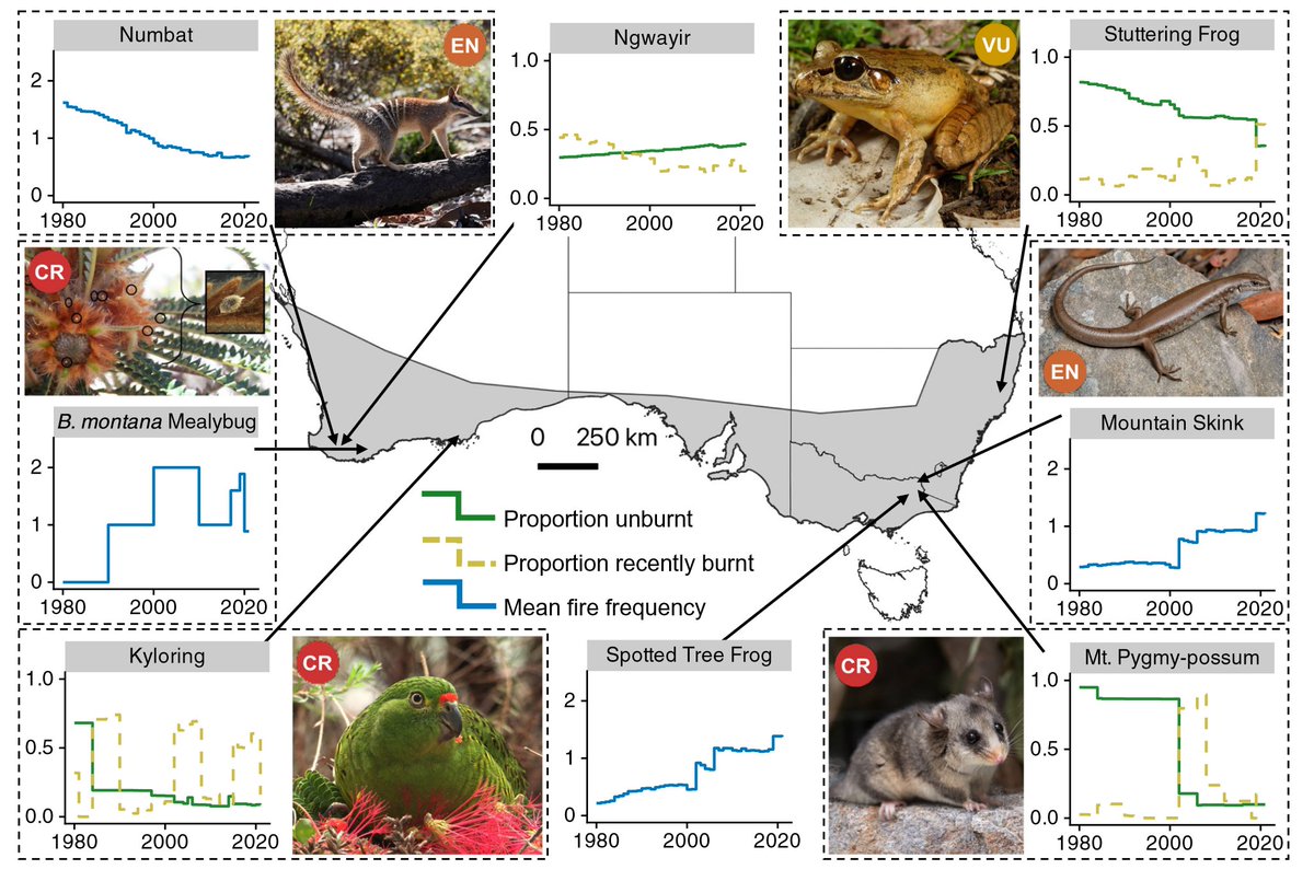A new paper in PNAS uncovers multidecadal shifts in #FireRegimes across southern Australia, highlighting increasing threats to conservation reserves and threatened species. By Tim Doherty, @KristinaJMac @BiodiversityGuy, myself, and Billy Geary. doi.org/10.1073/pnas.2…