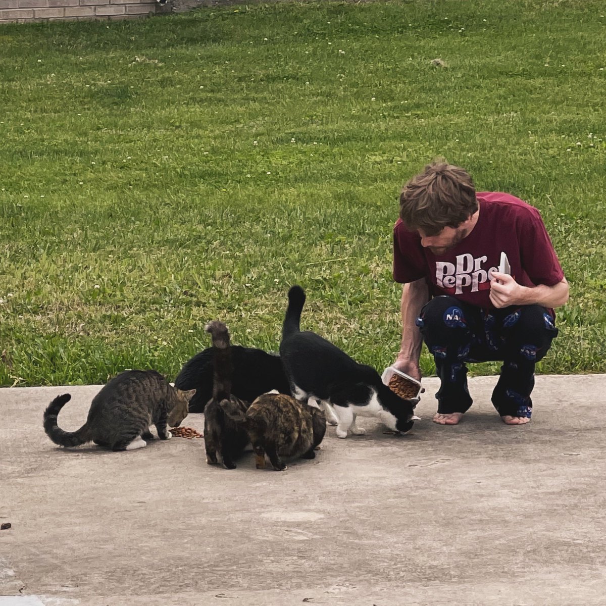 Sarah Potts tweet media