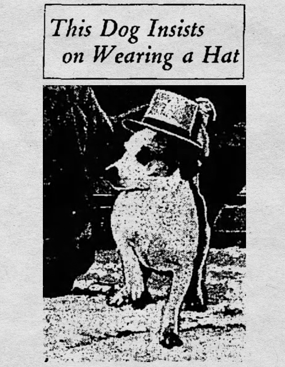 The Racine Journal-Times, Wisconsin, January 9, 1936