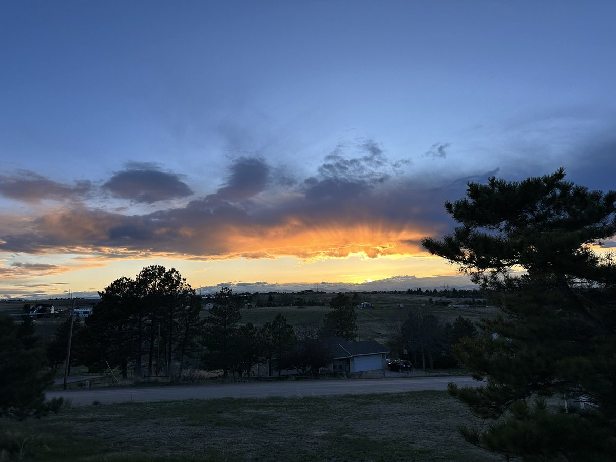 Wow 😍 #cowx