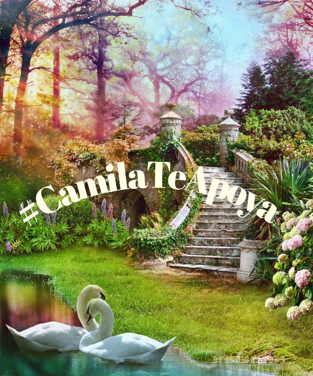 #CamilaTeApoya✨ @teamdinamicas @Jemaco40 @monicampon @ElderAcost @RoxxLo3 @tatysolcito @r95731 @Patris_7 @WaynesGirl3 @Luna_Om90 @insaurraldeh @WALLI27 @KIACHIARA1 @MARTHA_CAN2 @MoniT__ @millo_moni @ranasilvia63 @miarianmoreno @Alana__25 @mamiRD_ @swydersk @Spencerjames211…