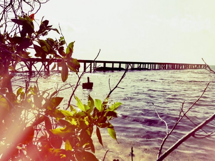 Wendy Wright tweet media