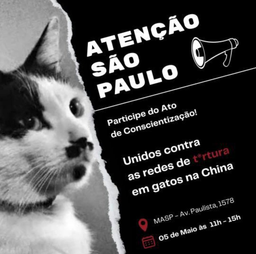 🇧🇷 Brasil, Sāo Paulo 🇧🇷 Protests against #catsTorture in #china ‼️ 📆 5 May 📍MASP (museum of art of Sāo Paulo) - Av. Paulista, 1578 🕚11am - 3pm #animalcruelty #chineseCatAbusers #protest #savecatsinchina #中国猫のSOS #動物愛護に国境はない #brasil #brasilia #saoPaulo #masp