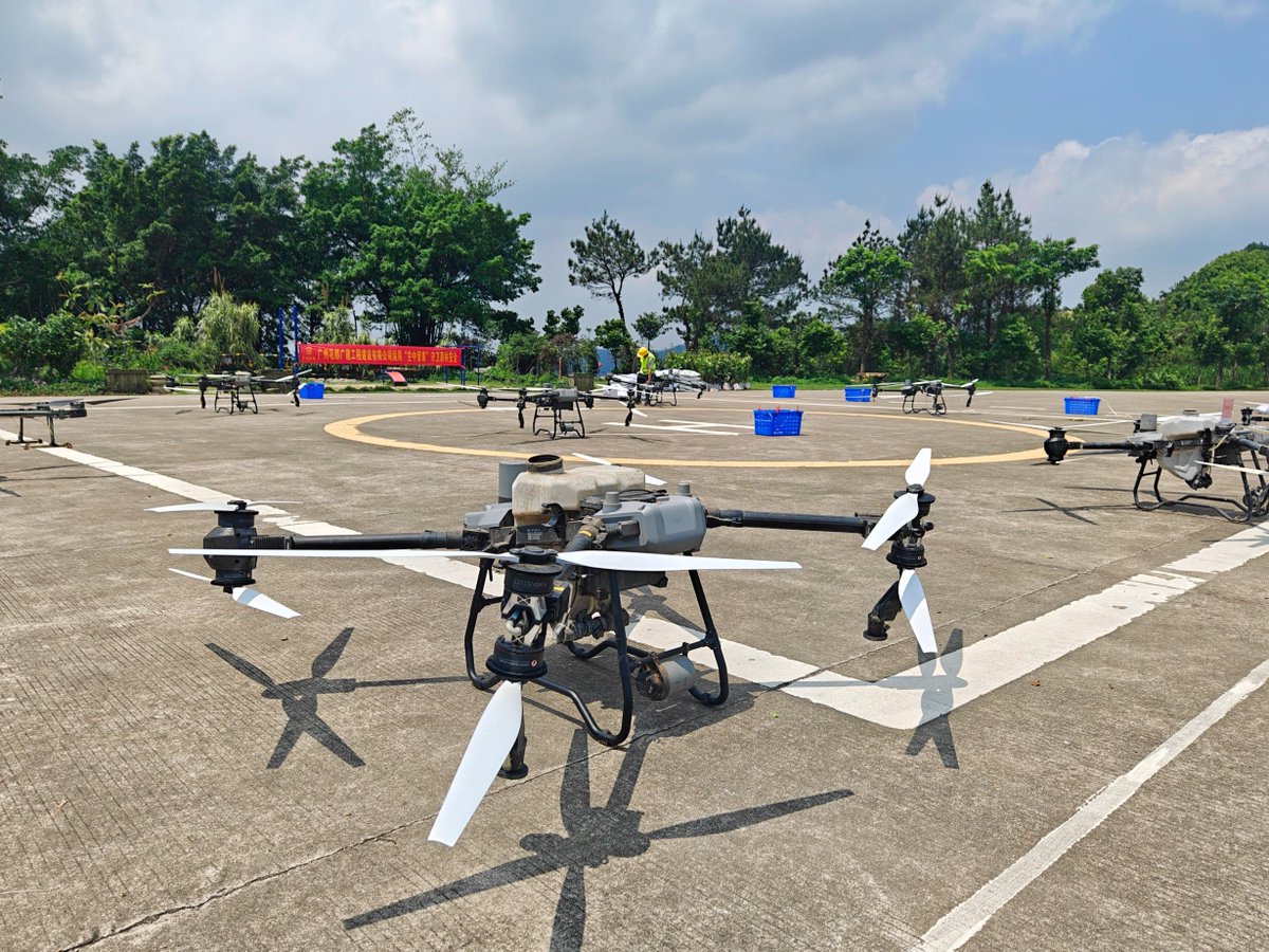 Saplings are 'flying' in the sky! Recently, #Huadu and #Conghua districts in #Guangzhou used #drones for #TreePlanting. In just 2-4 minutes, drones transport saplings or fertilizer to #mountainous areas, where the drop is 100 meters and the straight-line distance is 500 meters.
