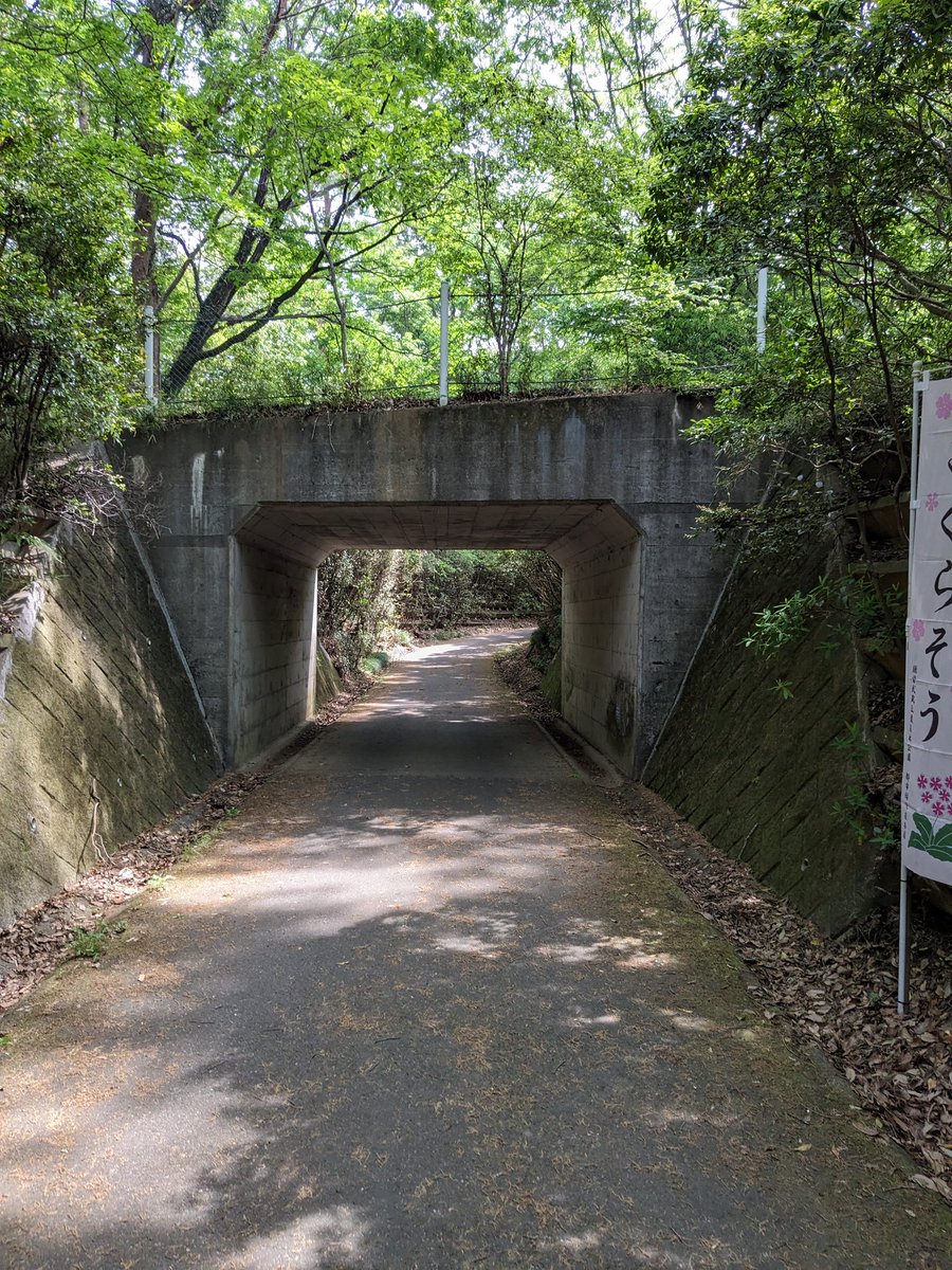 涼しくてちょうどいい気温