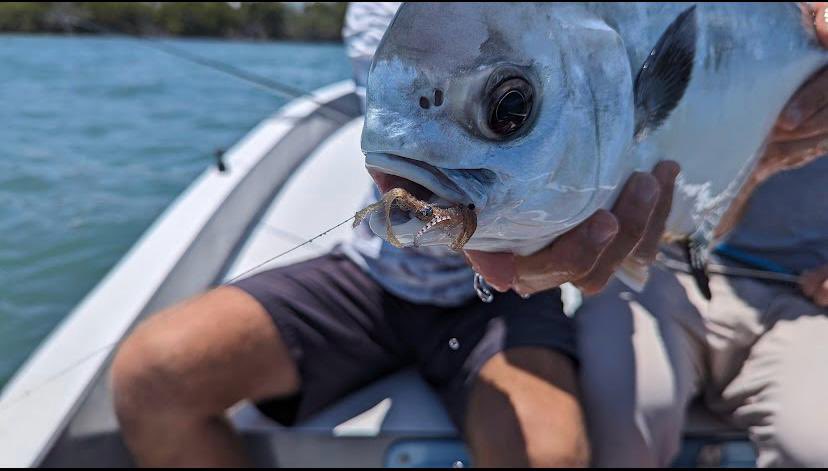 Sun’s up, gear’s ready — it’s go time!

Ph: Joseph Evans 
#flyfishing #flyfish #patagoniaflyfishing