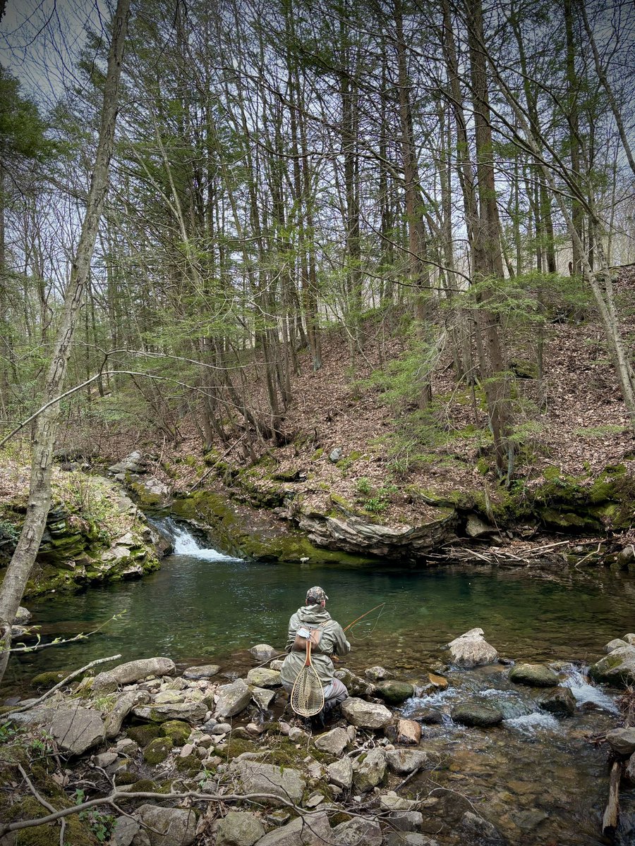 woolybugged's tweet photo. It didn’t feel like spring on Saturday morning, more like fall. Jon and I hiked into a small stream in northeastern PA. This was a natural reproduction stream, a true blue line, no Class here. It was a real gem. The brookie population had a great age class.

#paflyfish #panative https://t.co/EYbDTZEted