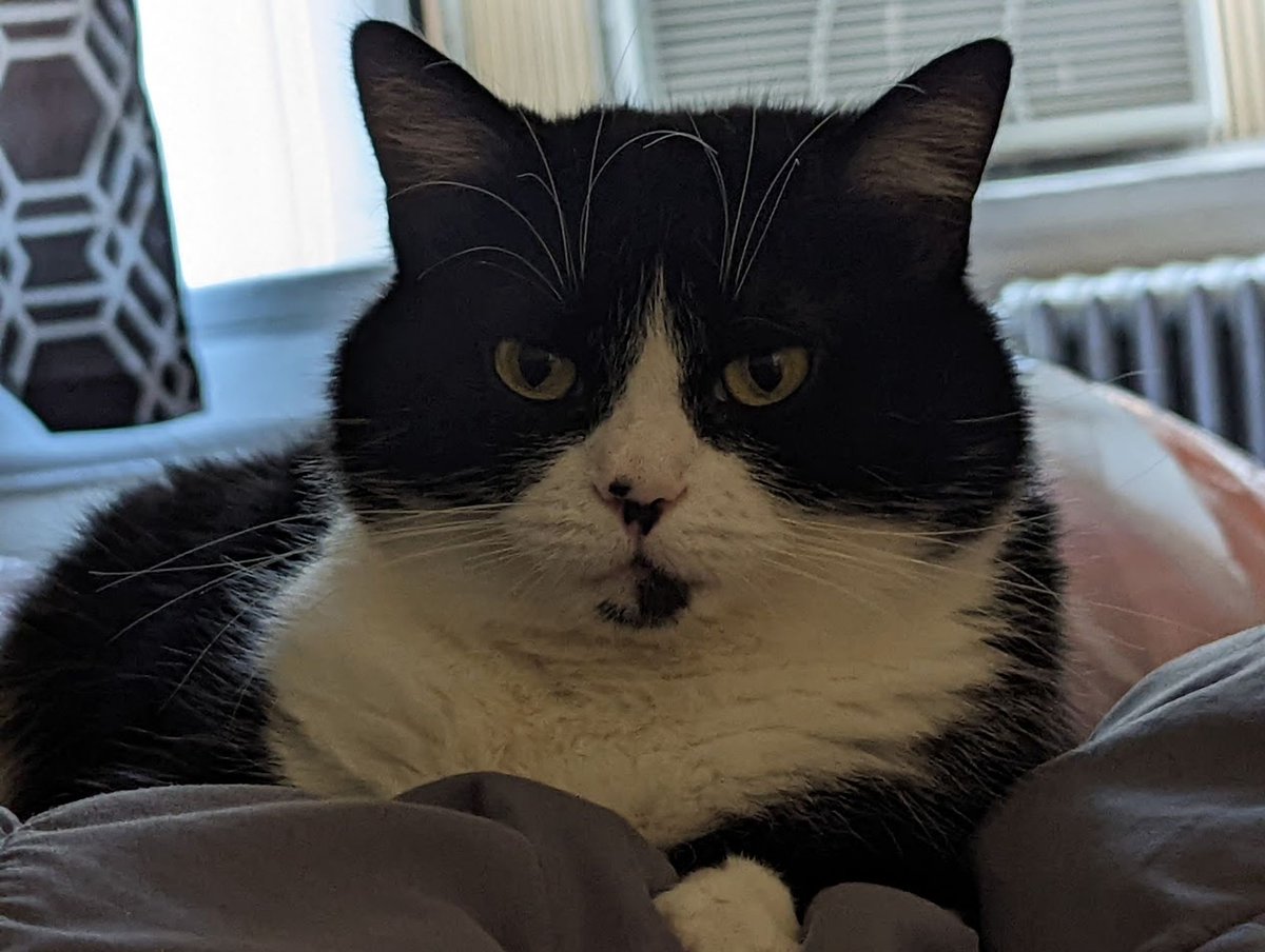 John PrAther tweet media