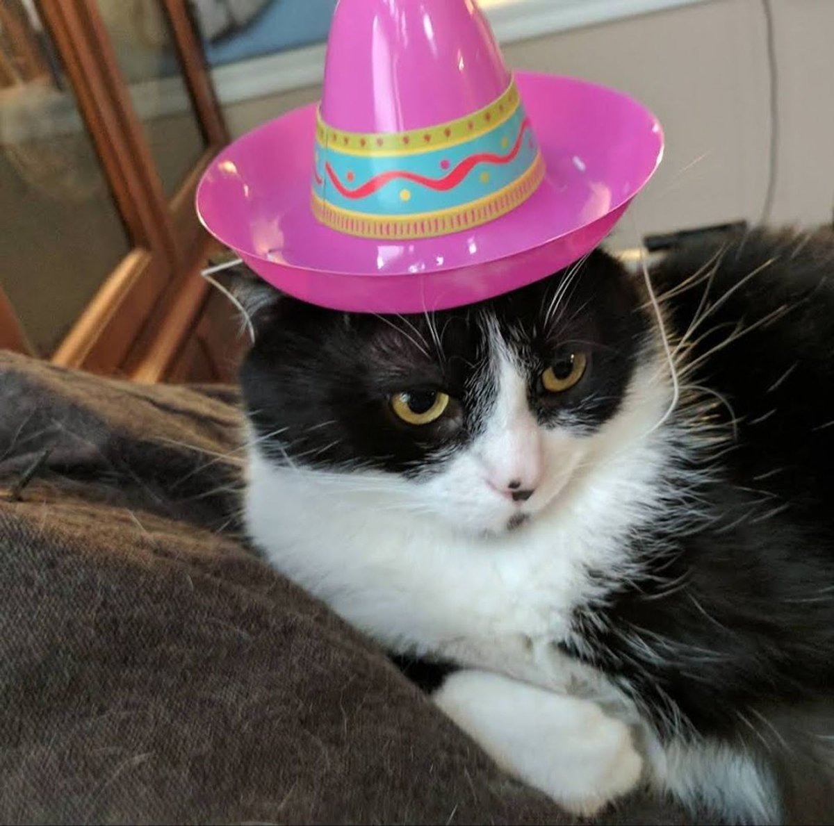 John PrAther tweet media