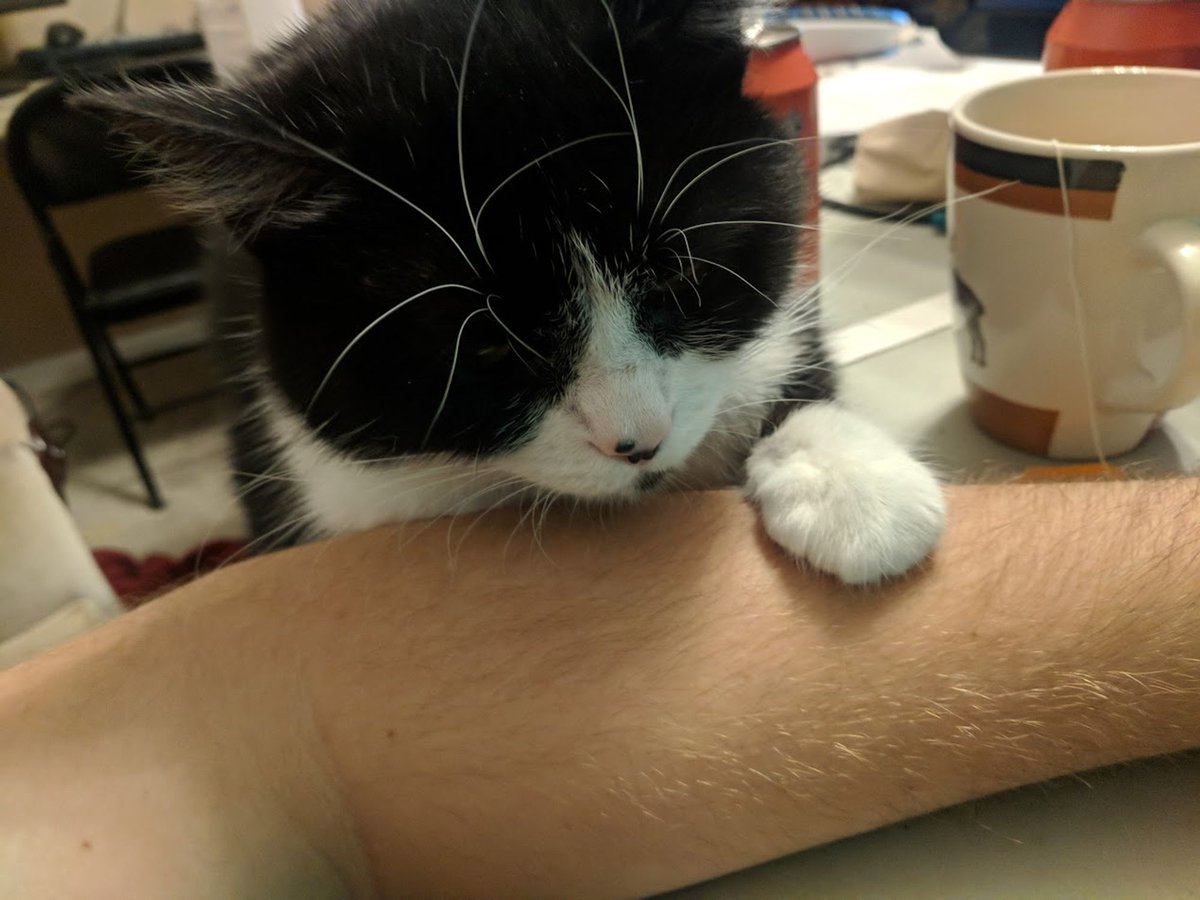 John PrAther tweet media