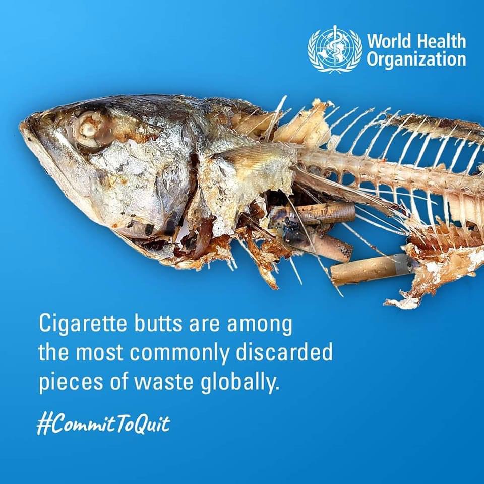 It takes 10 years for a cigarette to decompose allowing further chemical damage to leach into our eco-system. There is only one earth 🌎🌍🌏 - let us protect it by saying No Tobacco 🚭