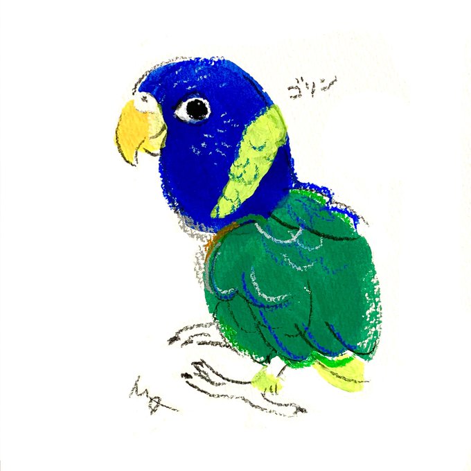 「beak black eyes」 illustration images(Latest)