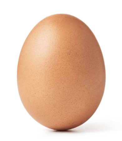 I swear if this egg gets at least 500 likes.