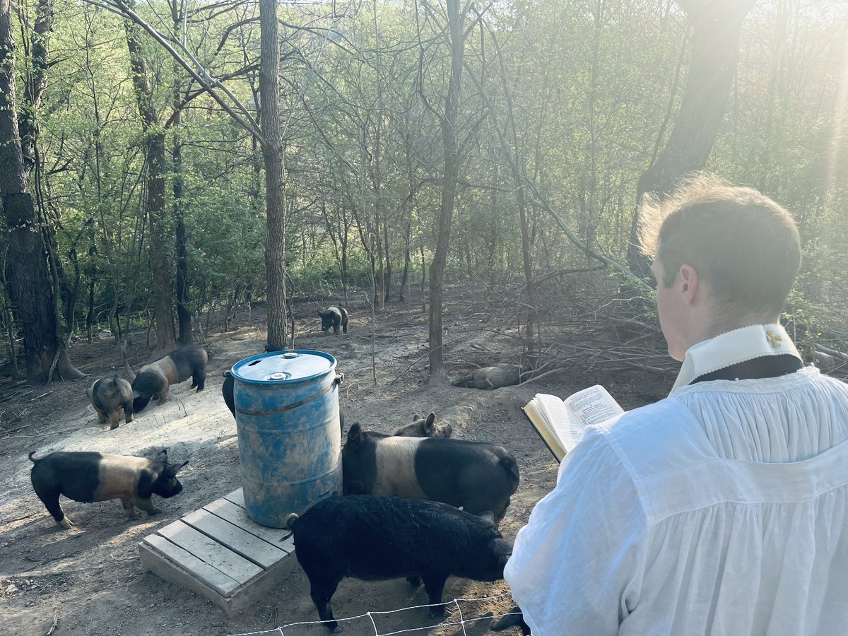 Blessing of Fields, Hills and Pastures - Canon of ICKSP at Verax Patria Farm & Homestead @veraxpatriafarm