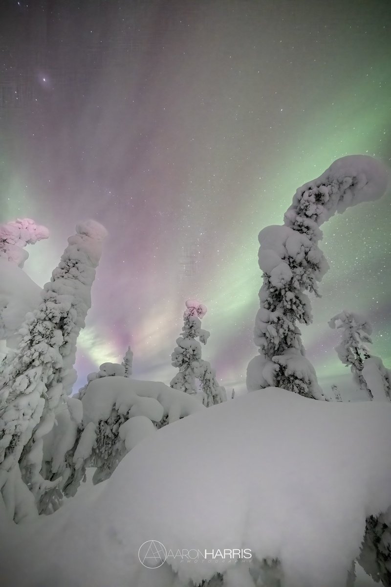 AaronHarrisSnap's tweet photo. Lil #northernlights night life on the Yukon River 

#Astrophotography #alaska #photograghy #outdoors https://t.co/1ijz4WuFVc