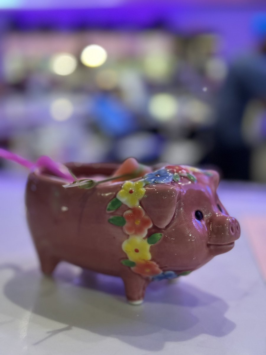 binduamadhav's tweet photo. When wife orders a drink ….🐖🐷🐽
Thy name of the drink is : Piggy likes to party 😂😝😛🍹🍸
#cocktailsunday
#wifegotherpaycheck
#yachtclub https://t.co/xmRzsJogNx