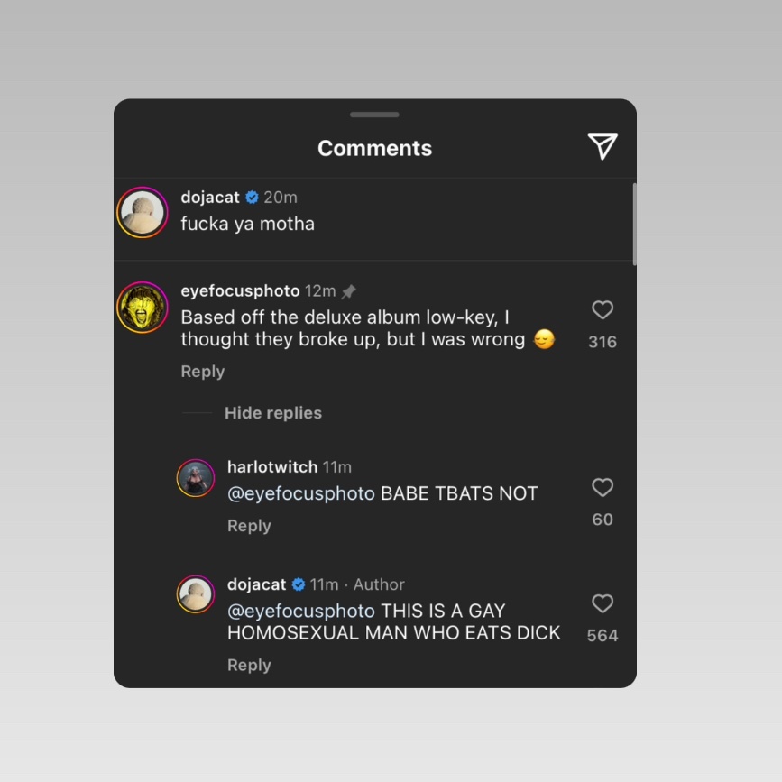 Doja Cat respond to comments under her new instagram post ”THIS IS A GAY HOMOSEXUAL MAN WHO EATS DICK”