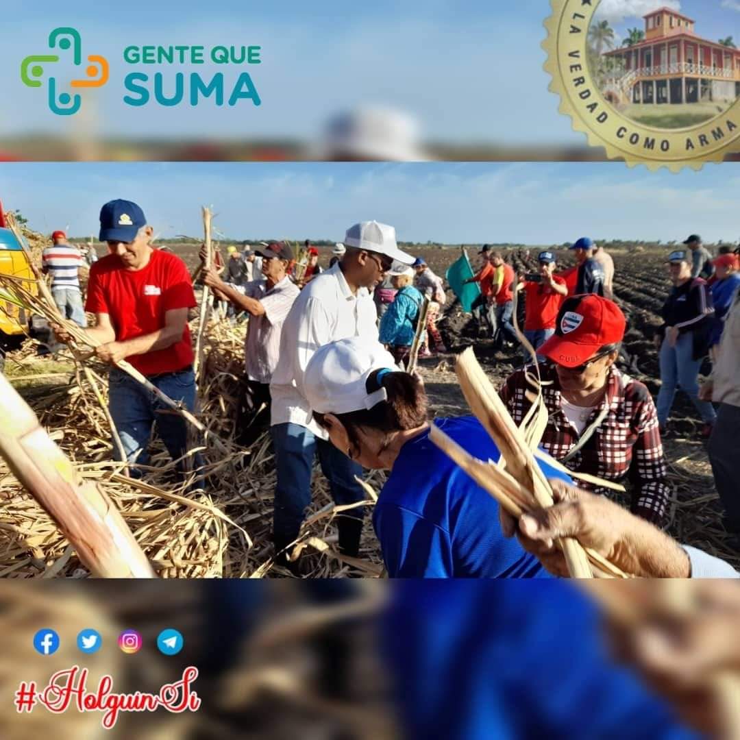 Recibí este bello mensaje de #GenteQueSuma, participación en la siembra de cuatro hectáreas de caña en saludo al Día Internacional de los Trabajadores y como parte del programa de la producción de alimentos en Holguín. Por #Cuba juntos creamos. #CubaViveYTrabaja