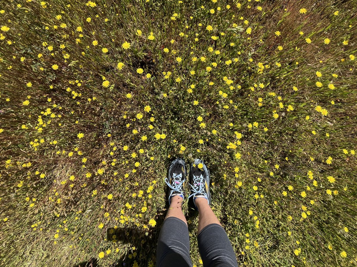 What was the best part of your weekend? I’d love to hear! 😊

Mine was being at Folsom Lake walking, reflecting, enjoying the sound of birds; just BEING. 💕