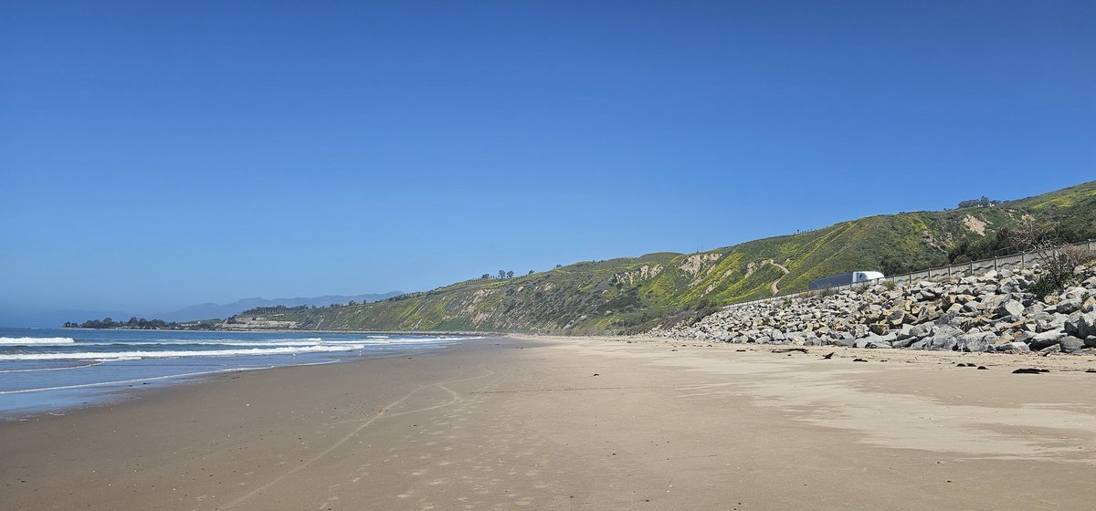 DiReWoLF tweet media