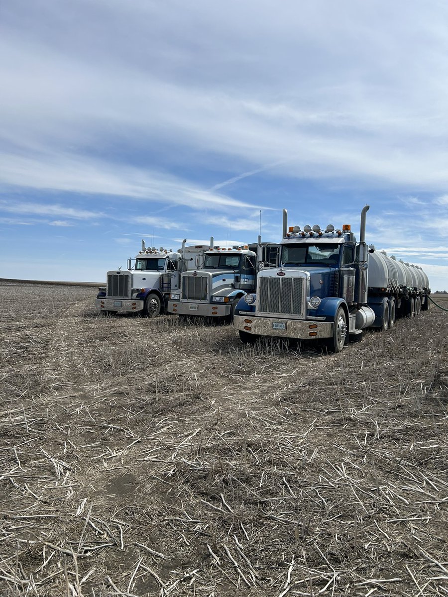 Lentils in on to wheat