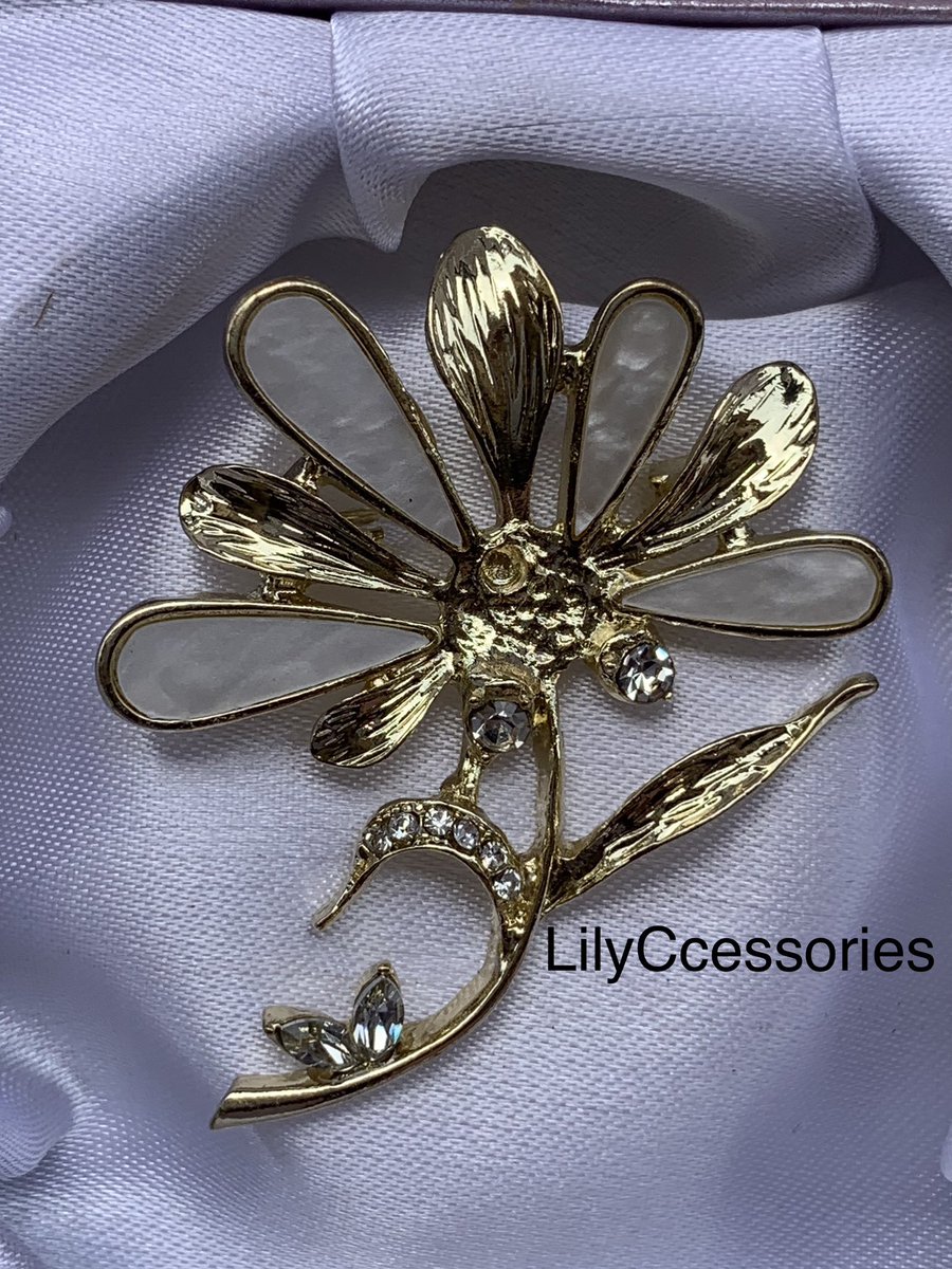 LilyCcessories's tweet photo. Non-Tarnish Brooch
Old Price: #3500
New Price: #1500
Offer valid while stock last. 

To order: DM or WhatsApp 08036309731

https://t.co/FeGizwOav8
#lilyscentng #NightmarketwithDammyB 
#Pagesbydamicommerce
#EasterSales
#Easternightmarket
#Flutterwavecommerce #Easterfunfair https://t.co/uNXlMWO8wo