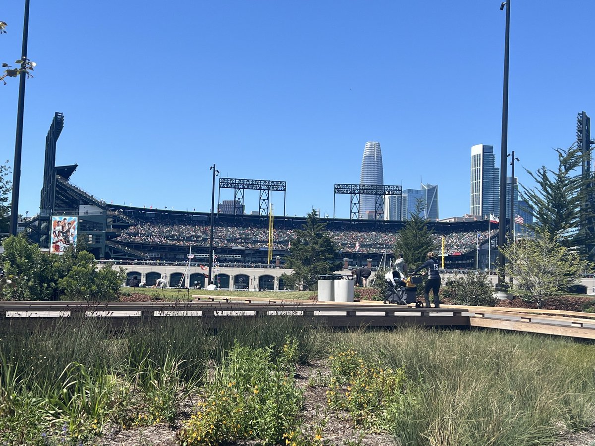 Beautiful day in the bay.