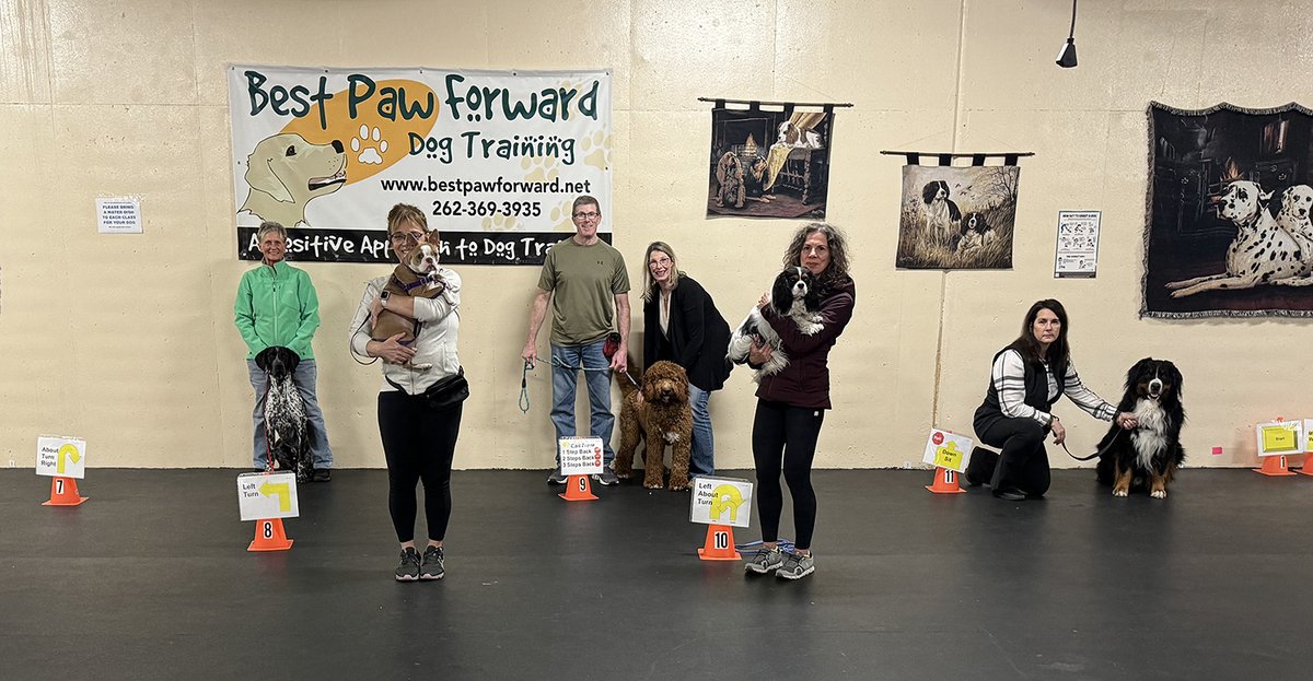 Cheers #Rally grads! These hard-working teams gained communication and cooperation skills while having fun. They came so far, starting with playing on leash to working each course off lead. #GradPhotos #ForceFreeDogTraining #Dogs #DogSports #RallyO #RewardBasedTraining #Coaching