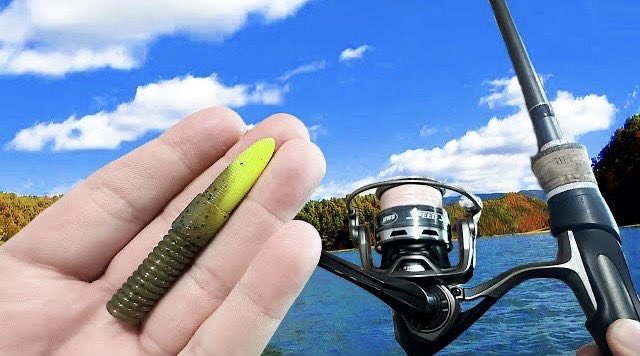 BassGeekFishing's tweet photo. This Ned Rig is Draws BIG Bass! 

https://t.co/swEDG7OewP

#nedrig #bassfishing #spawnfishing #spawningbass #superned #bassgeek #nikkobaits #fishing #fishingtips #bankfishing #fishingdaily #smallmouthbass https://t.co/p1sKvQc3mH