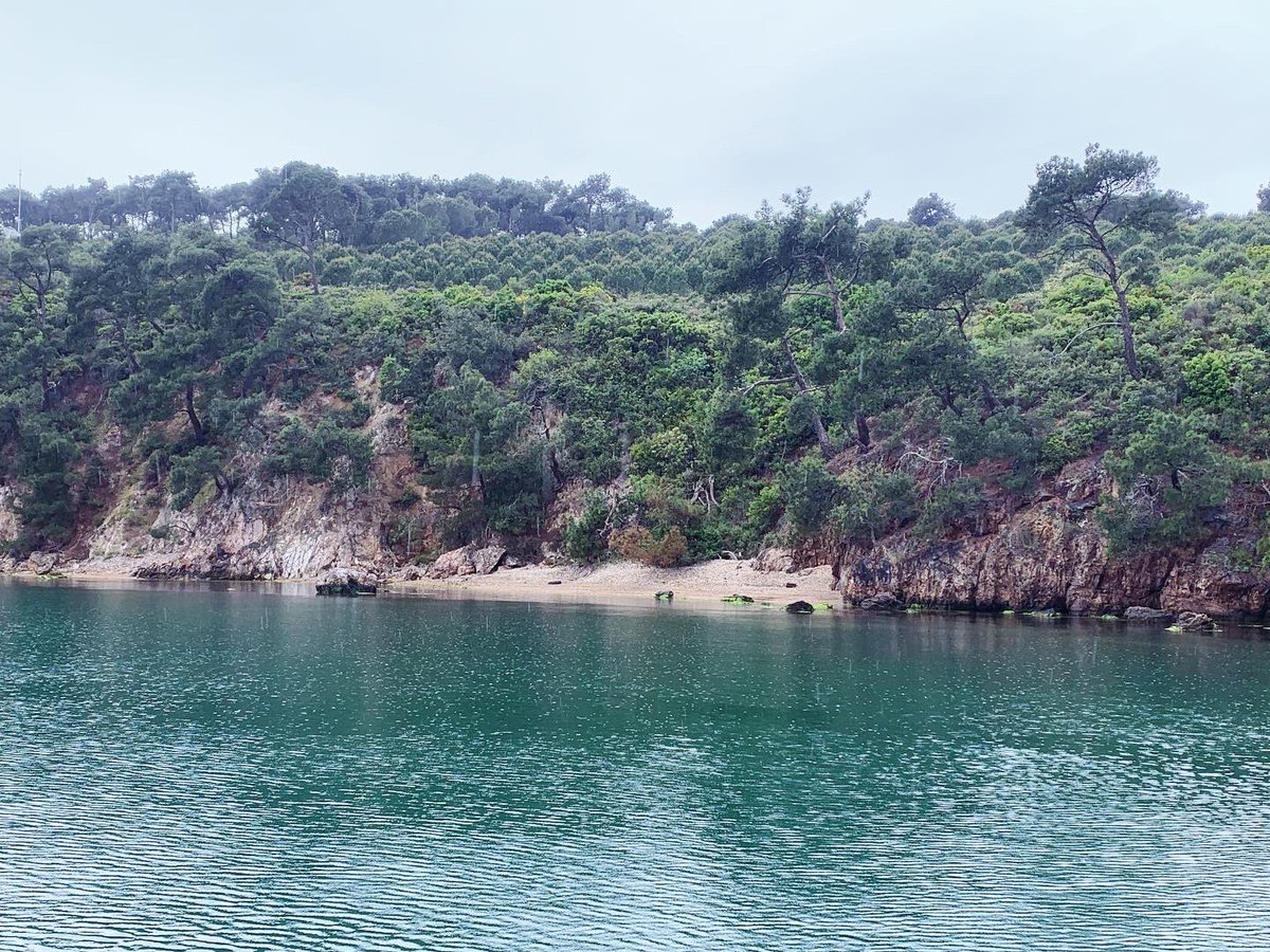 A wonderful day at sea with our residents. We teach not only Urology. #urology #sailing