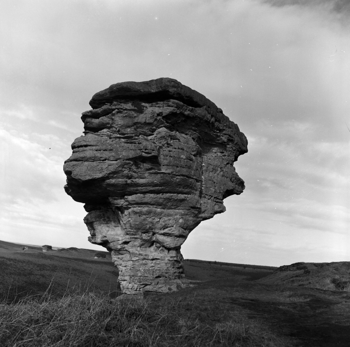 Shaped by the forces of #nature, the Bridestones are sandstone outcrops at #Allerston High Moor in the #NorthYorkMoors, each one unique. This photo was captured by #Yorkshire photographer Bertram Unné #EYANature