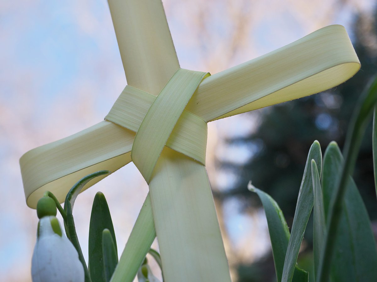 Happy Palm Sunday to all Orthodox Christians who are celebrating today! #PalmSunday #GreekEaster