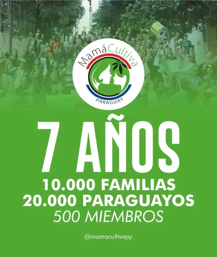 MamaCultivaPy's tweet photo. Hoy celebramos 💚🌱✨️ Nuestro 7mo aniversario!
Y en este dia especial hacemos un llamado a vos! SI!! Que apoyas nuestra causa, que nos acompañas siempre y todavía no sos parte. Este es un mensaje para el compromiso! Con tu salud y la de todos! Porque El Dolor no puede esperar!! https://t.co/NrHCeNijjF