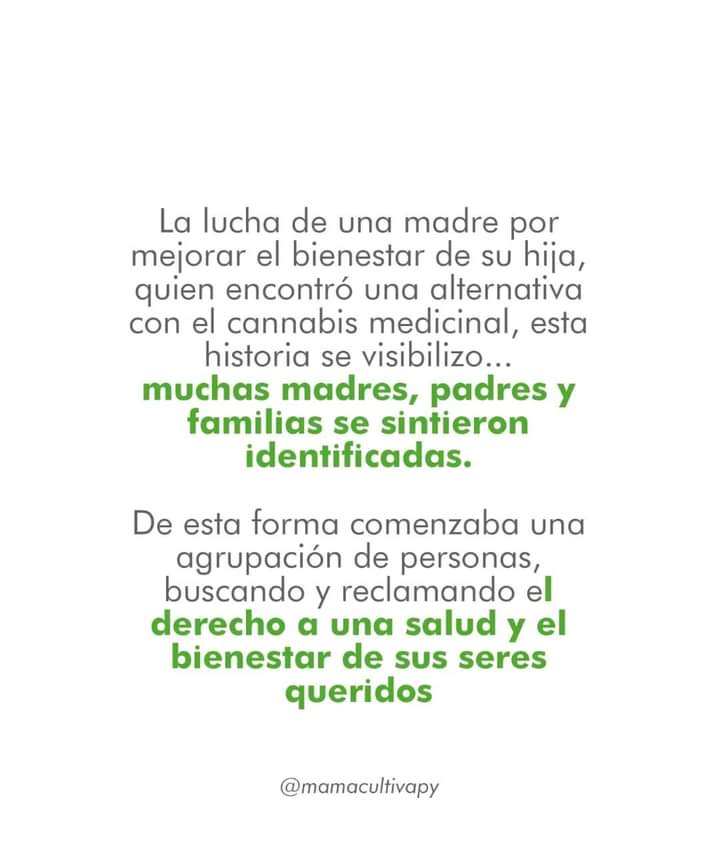 MamaCultivaPy's tweet photo. Hoy celebramos 💚🌱✨️ Nuestro 7mo aniversario!
Y en este dia especial hacemos un llamado a vos! SI!! Que apoyas nuestra causa, que nos acompañas siempre y todavía no sos parte. Este es un mensaje para el compromiso! Con tu salud y la de todos! Porque El Dolor no puede esperar!! https://t.co/NrHCeNijjF