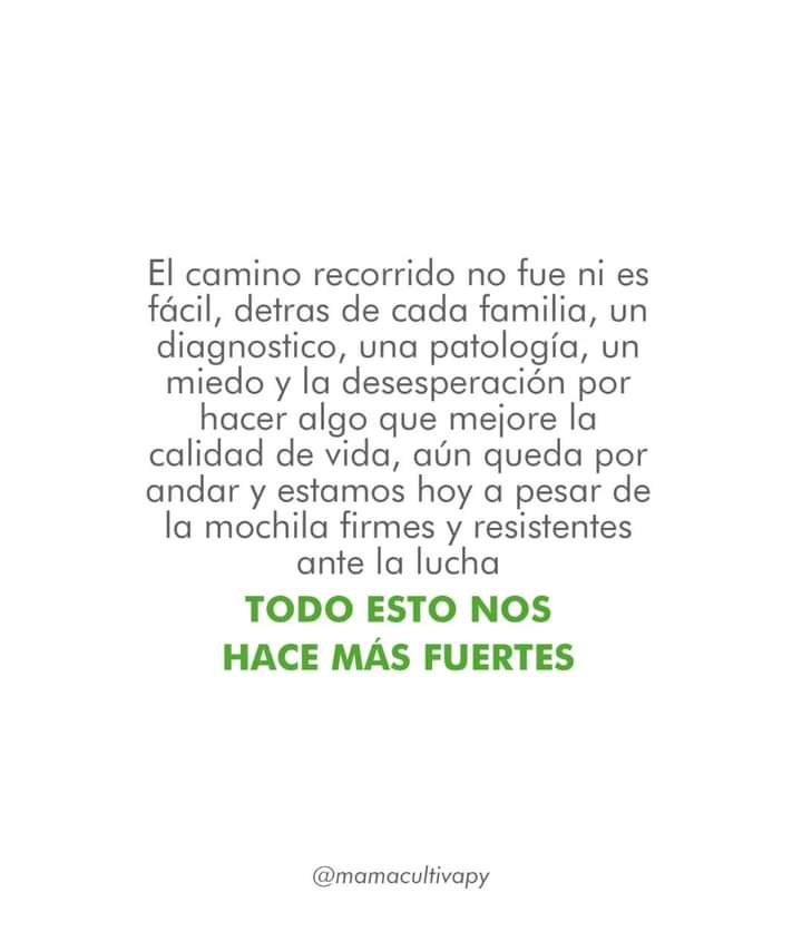 MamaCultivaPy's tweet photo. Hoy celebramos 💚🌱✨️ Nuestro 7mo aniversario!
Y en este dia especial hacemos un llamado a vos! SI!! Que apoyas nuestra causa, que nos acompañas siempre y todavía no sos parte. Este es un mensaje para el compromiso! Con tu salud y la de todos! Porque El Dolor no puede esperar!! https://t.co/NrHCeNijjF