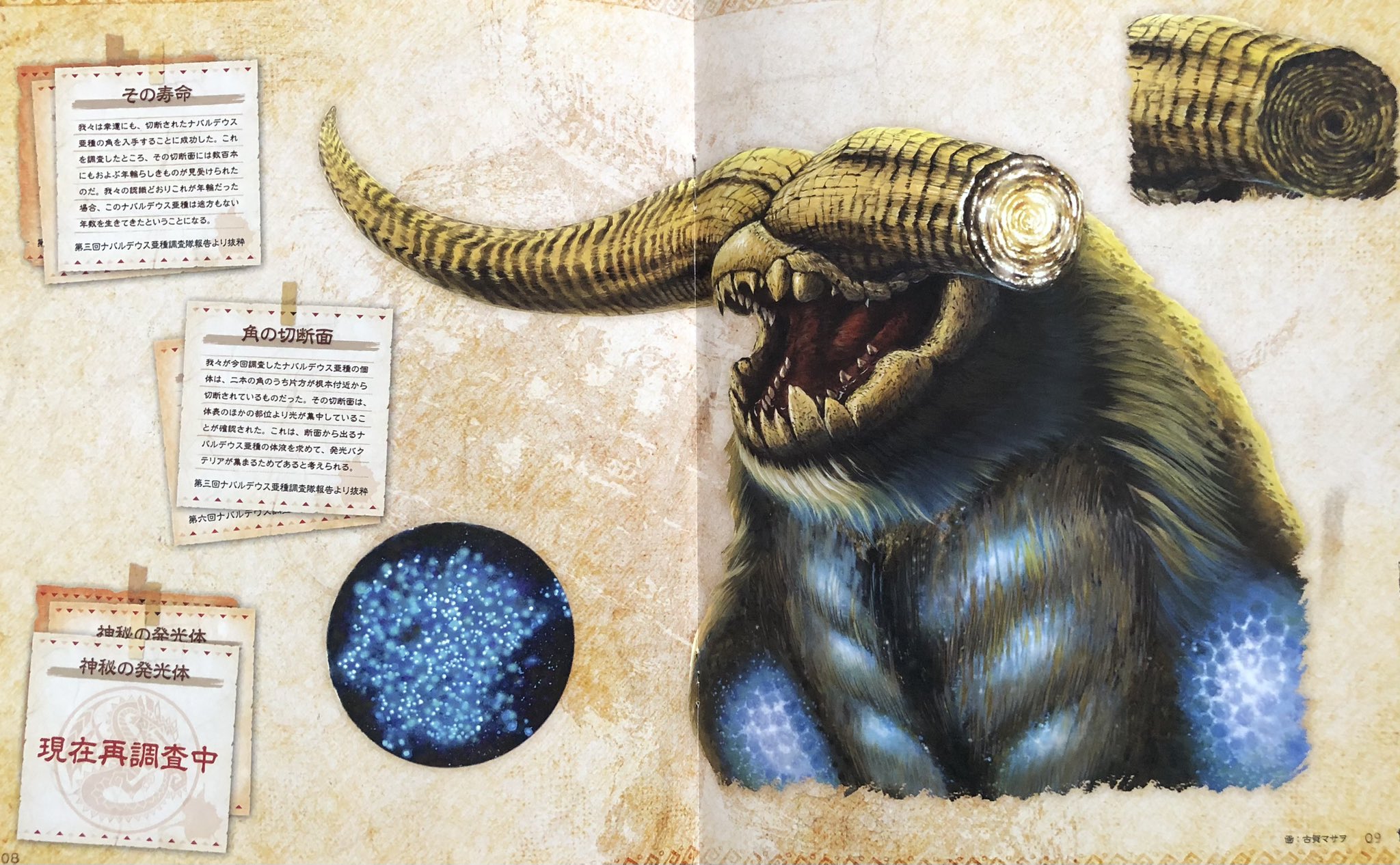 じみに MH3G Amazon.co.jp: モンスターハンター3G 3DS版 GREAT TRIAL BOOK