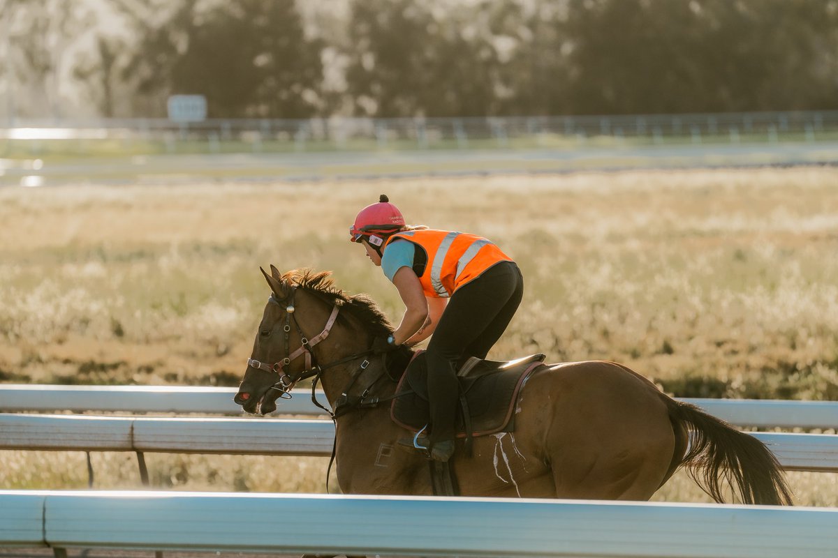 sconeraceclub's tweet image. Cruising into another beautiful Autumn week 🍂 
#autumnmornings #trackwork #sconeraceclub #premiercountryracing
