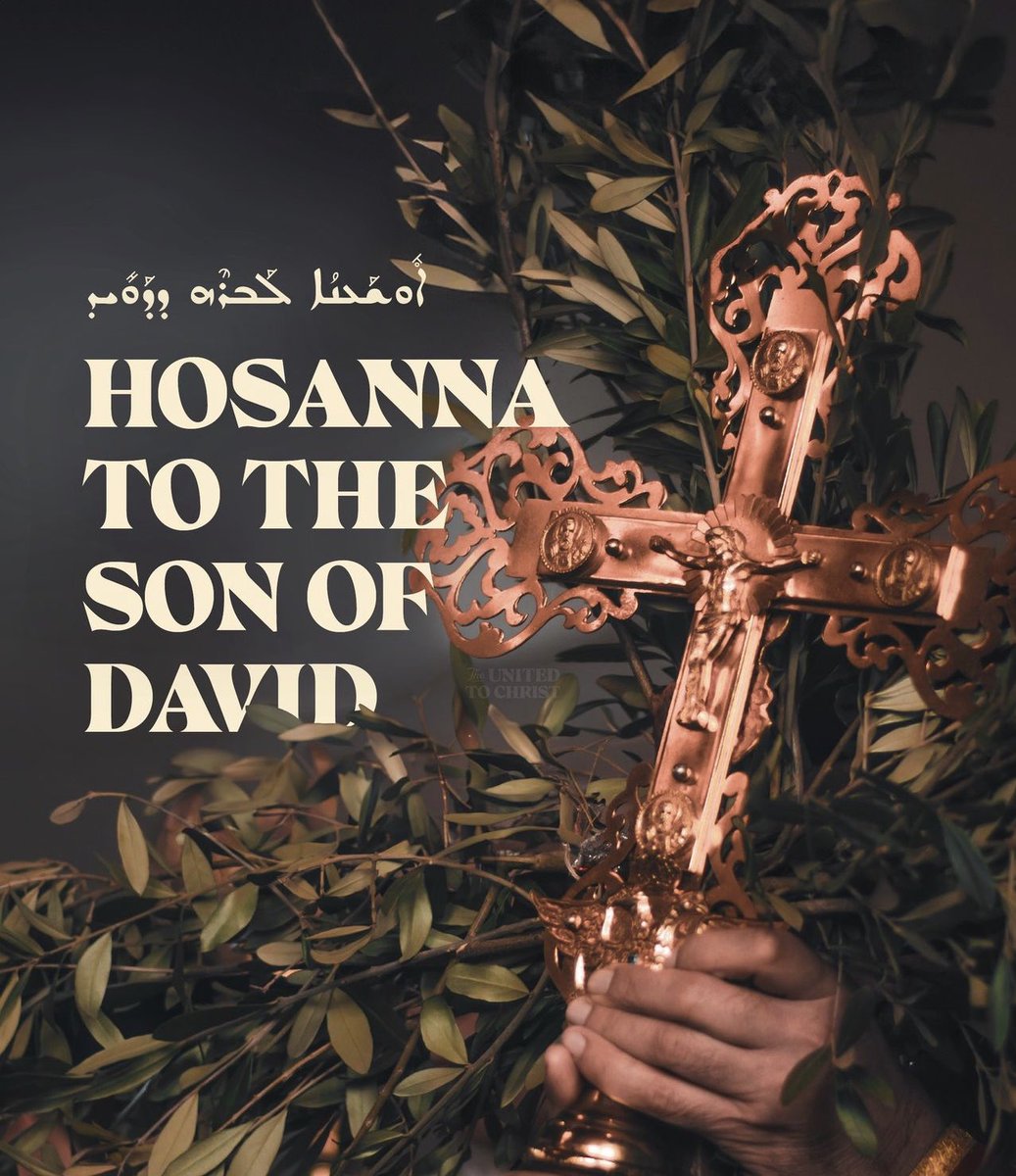 Hosanna in the highest, blessed is he who comes in the name of the Lord