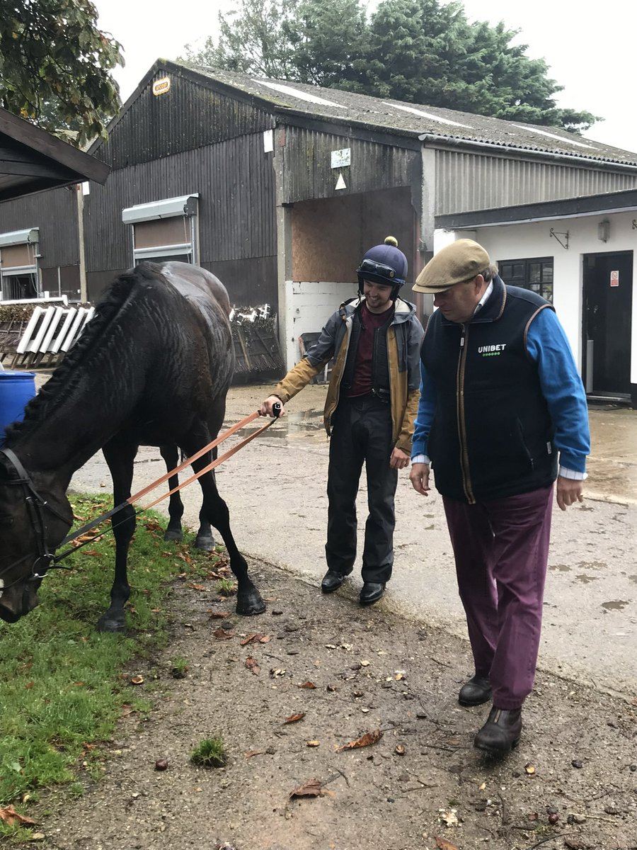 pslevvv's tweet photo. @sevenbarrows RIP, some horse 💛🖤 https://t.co/0ZXxDOcUxY